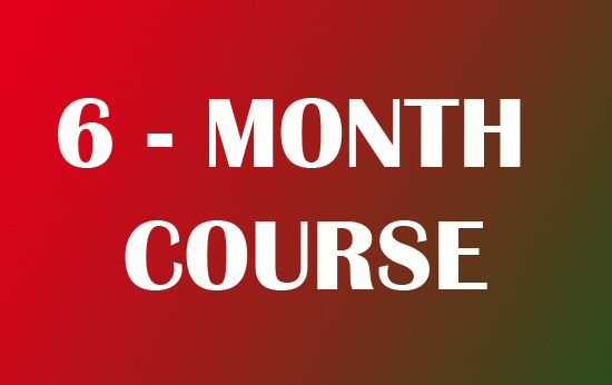 6 - MONTH COURSE